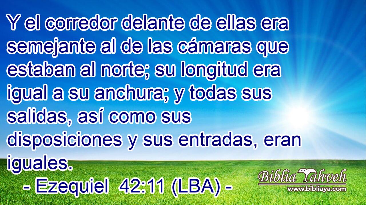 Y el corredor delante de ellas era semejante al de las cámaras que estaban al norte; su longitud era igual a su anchura; y todas sus salidas, así como sus disposiciones y sus entradas, eran iguales.