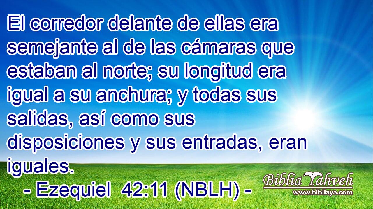  El corredor delante de ellas era semejante al de las cámaras que estaban al norte; su longitud era igual a su anchura; y todas sus salidas, así como sus disposiciones y sus entradas, eran iguales. 