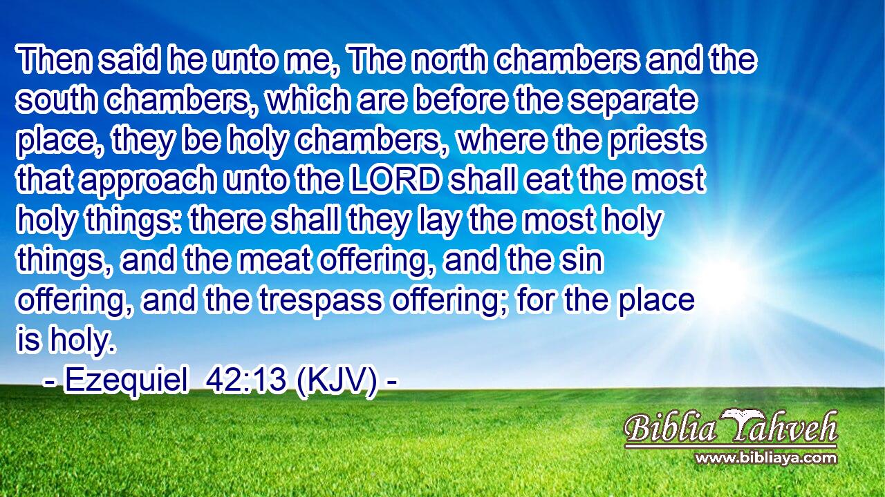 Then said he unto me, The north chambers and the south chambers, which are before the separate place, they be holy chambers, where the priests that approach unto the LORD shall eat the most holy things: there shall they lay the most holy things, and the meat offering, and the sin offering, and the trespass offering; for the place is holy.