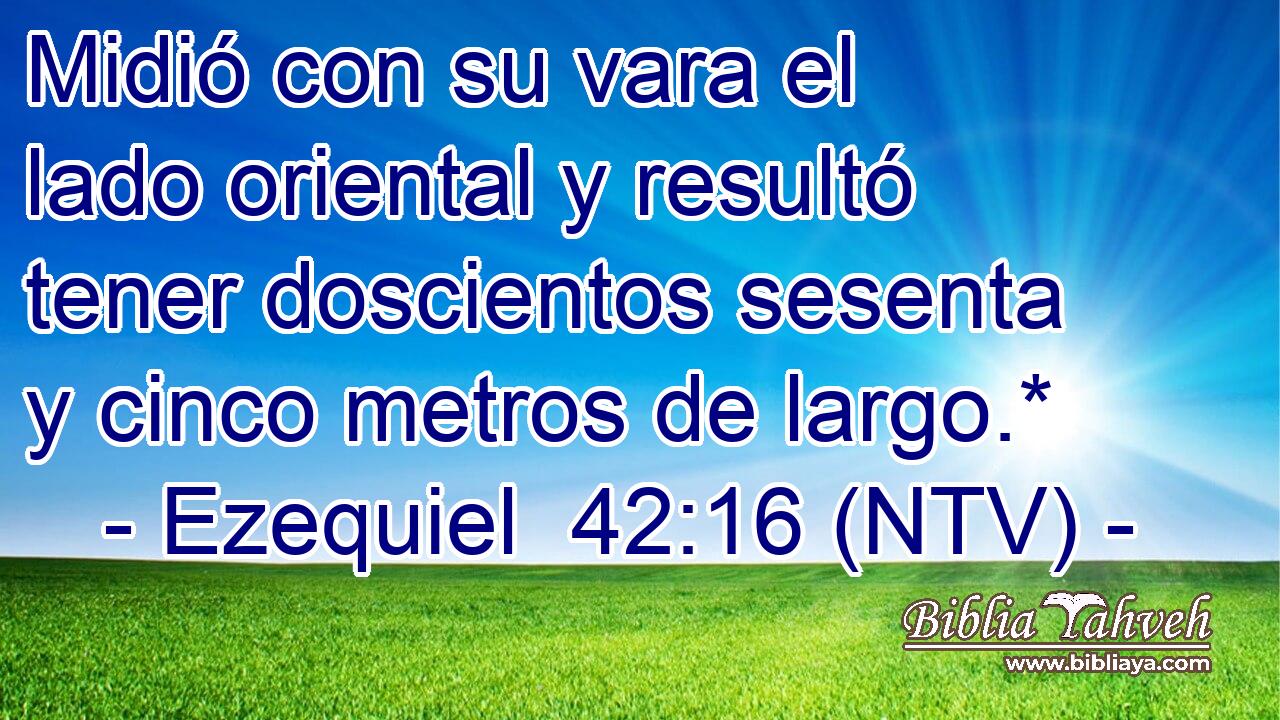 Midió con su vara el lado oriental y resultó tener doscientos sesenta y cinco metros de largo.*