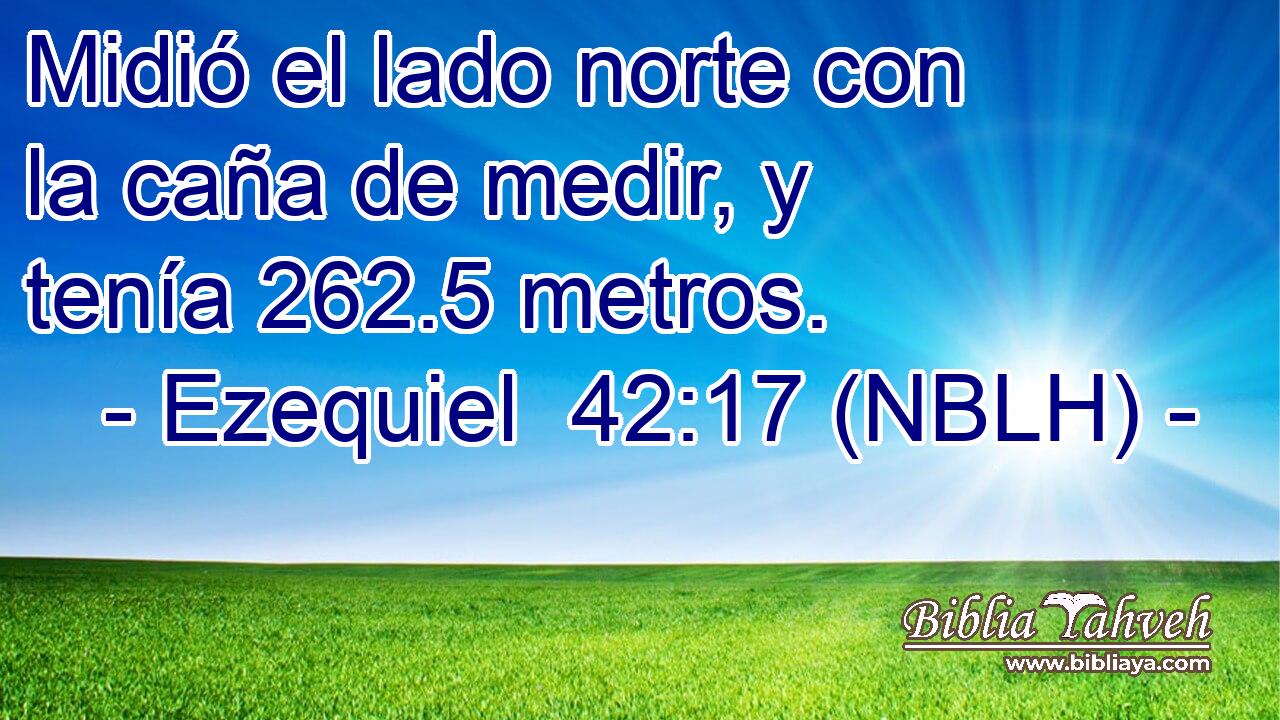  Midió el lado norte con la caña de medir, y tenía 262.5 metros. 