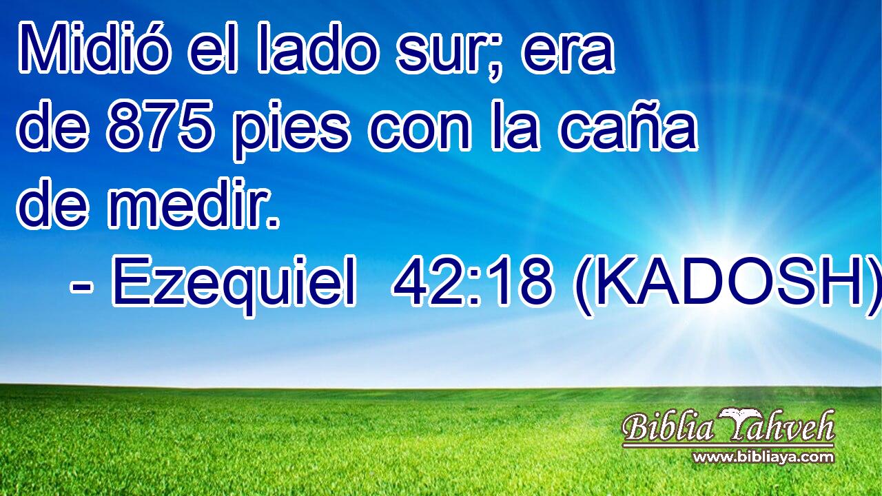  Midió el lado sur; era de 875 pies con la caña de medir. 