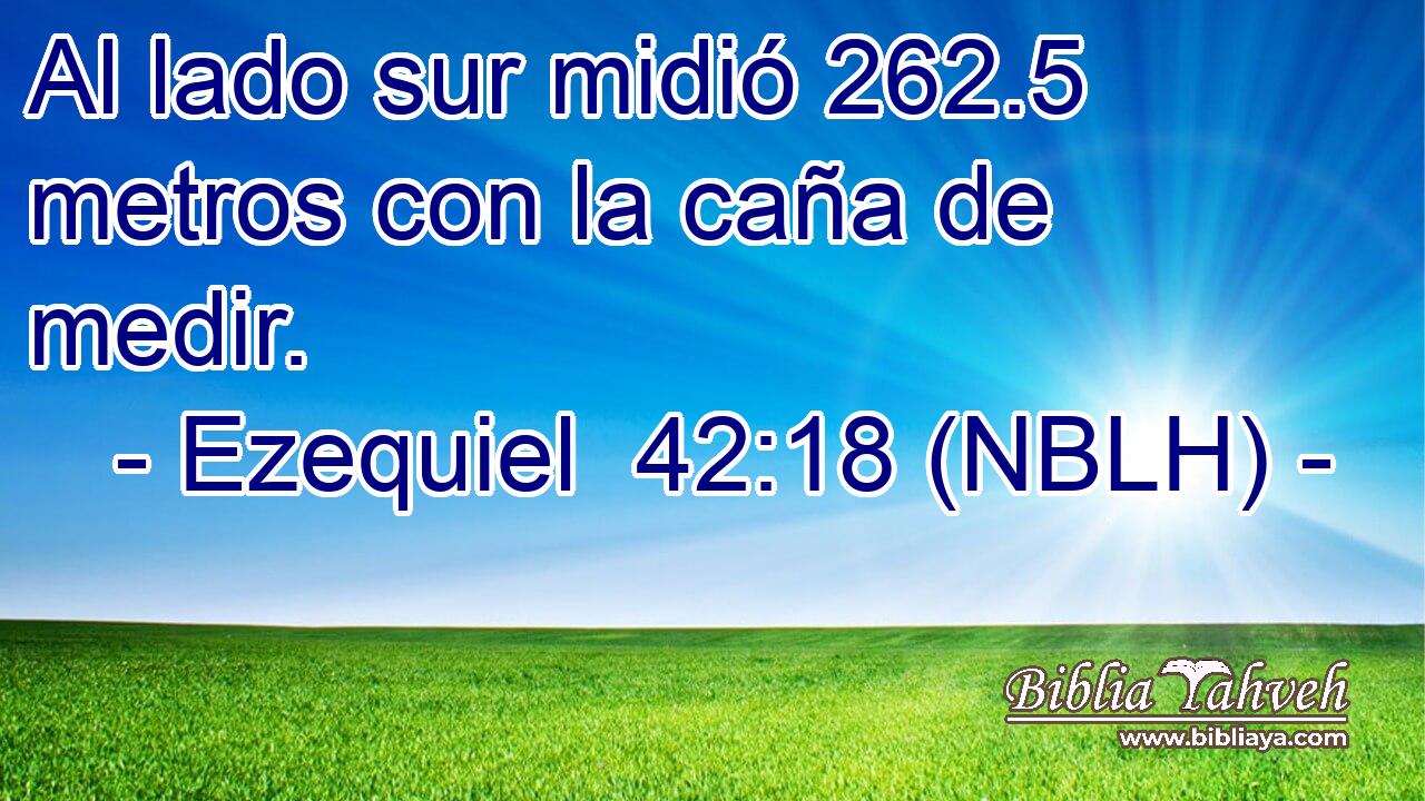  Al lado sur midió 262.5 metros con la caña de medir. 
