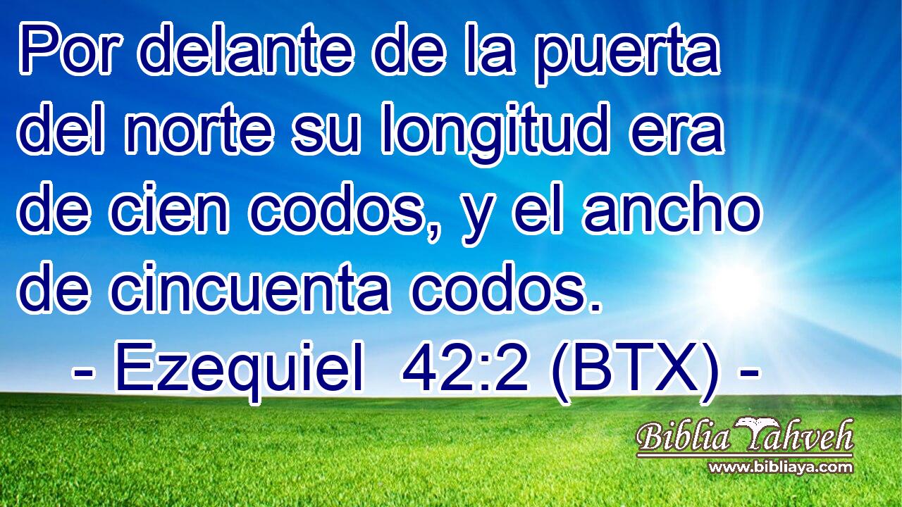 Por delante de la puerta del norte su longitud era de cien codos, y el ancho de cincuenta codos.