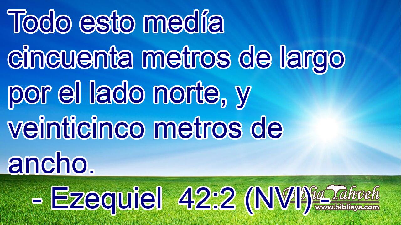  Todo esto medía cincuenta metros de largo por el lado norte, y veinticinco metros de ancho. 