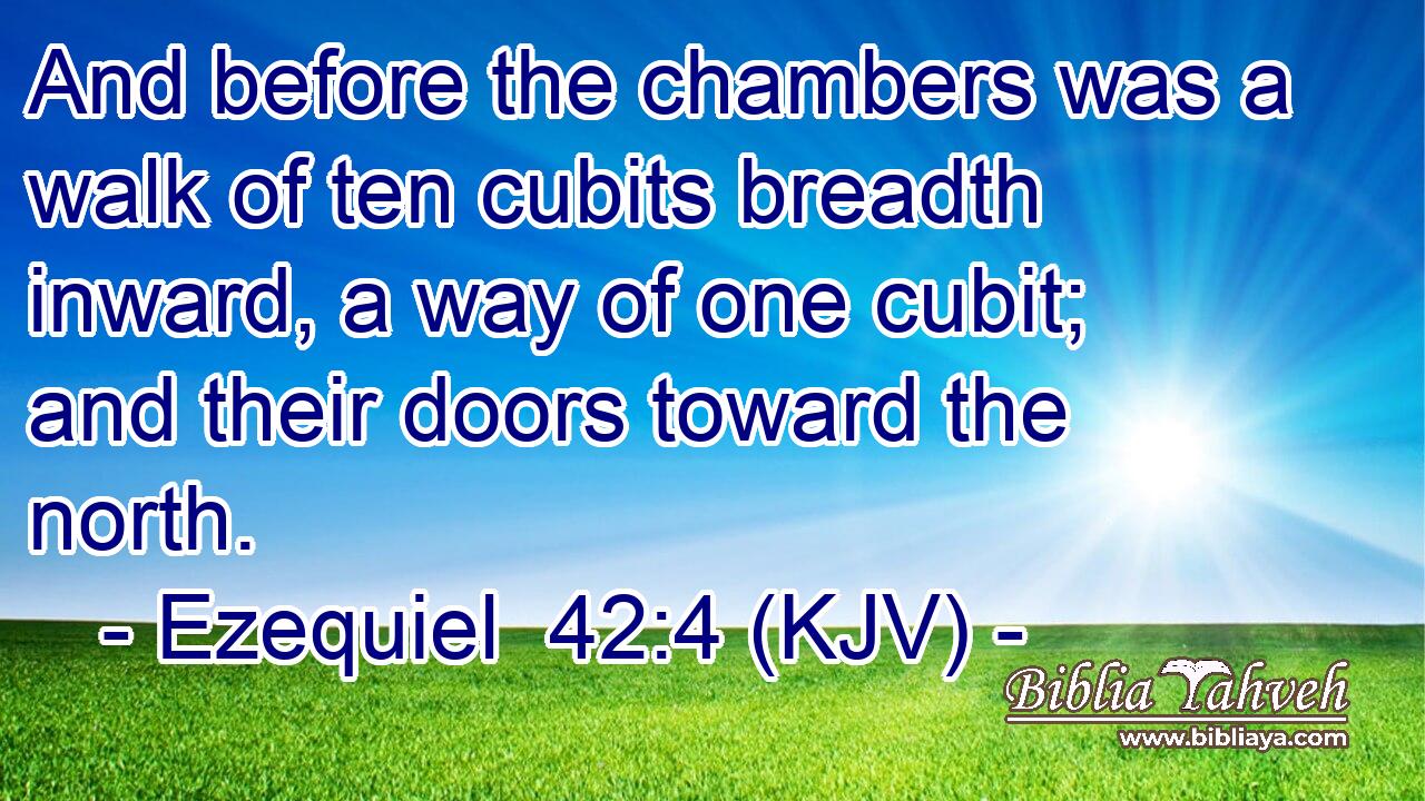 And before the chambers was a walk of ten cubits breadth inward, a way of one cubit; and their doors toward the north.