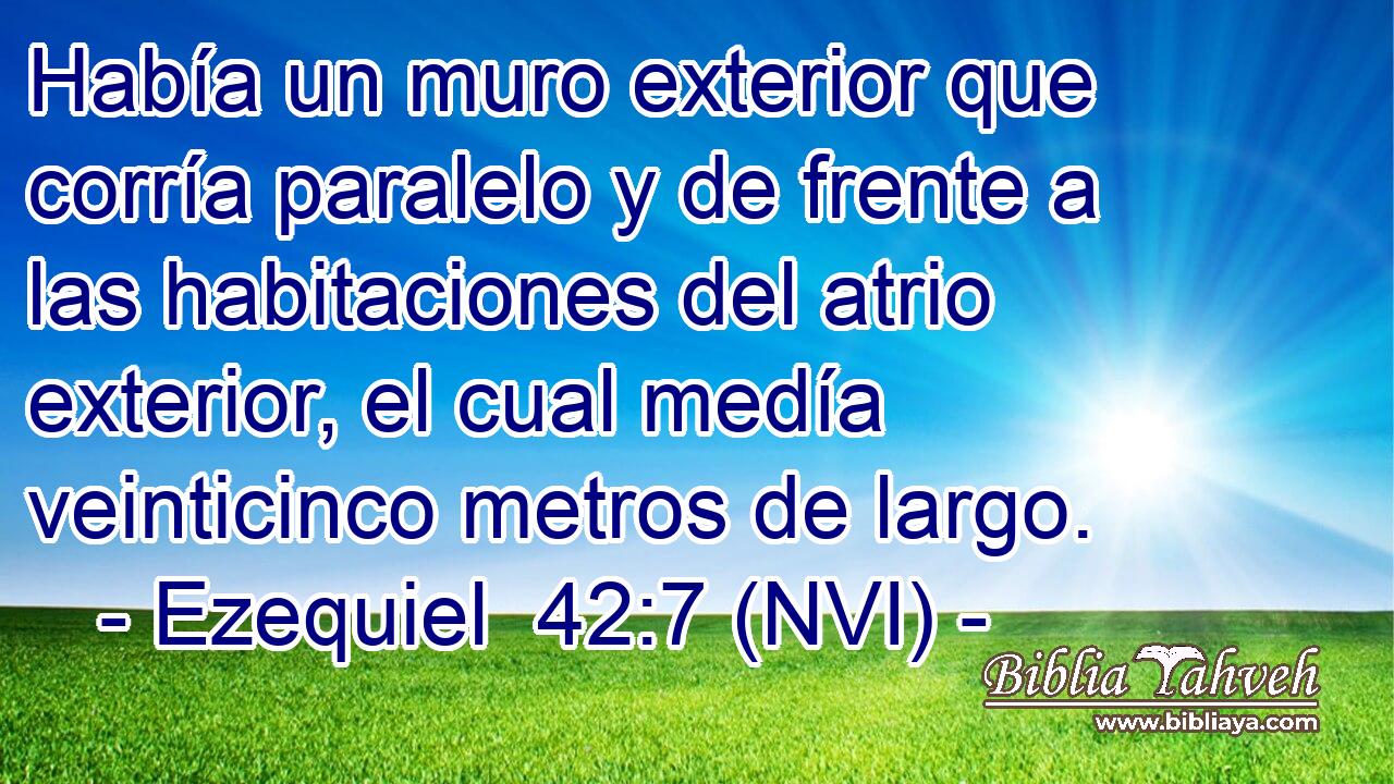  Había un muro exterior que corría paralelo y de frente a las habitaciones del atrio exterior, el cual medía veinticinco metros de largo. 