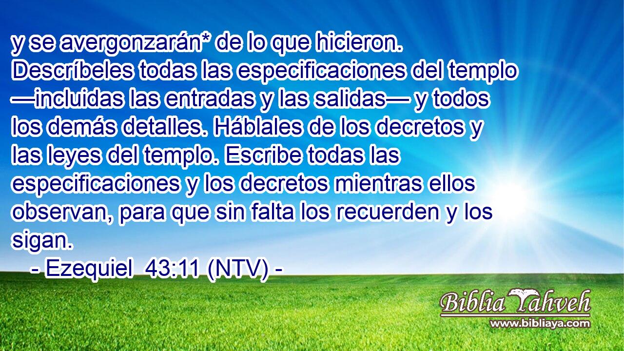 y se avergonzarán* de lo que hicieron. Descríbeles todas las especificaciones del templo —incluidas las entradas y las salidas— y todos los demás detalles. Háblales de los decretos y las leyes del templo. Escribe todas las especificaciones y los decretos mientras ellos observan, para que sin falta los recuerden y los sigan.