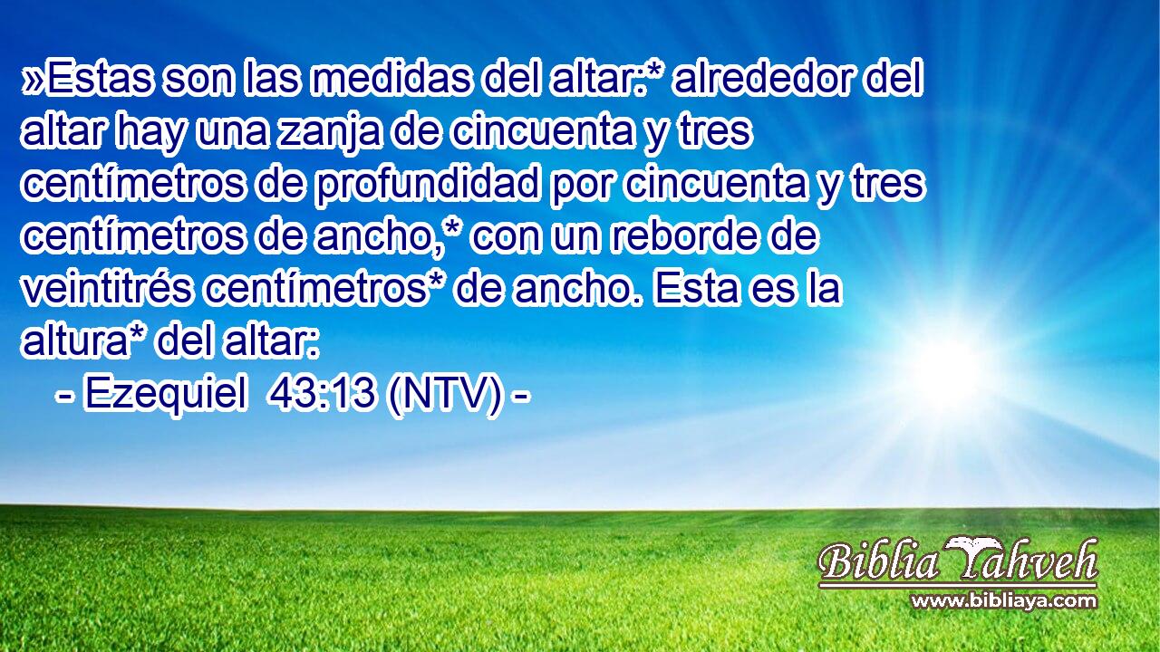 »Estas son las medidas del altar:* alrededor del altar hay una zanja de cincuenta y tres centímetros de profundidad por cincuenta y tres centímetros de ancho,* con un reborde de veintitrés centímetros* de ancho. Esta es la altura* del altar: