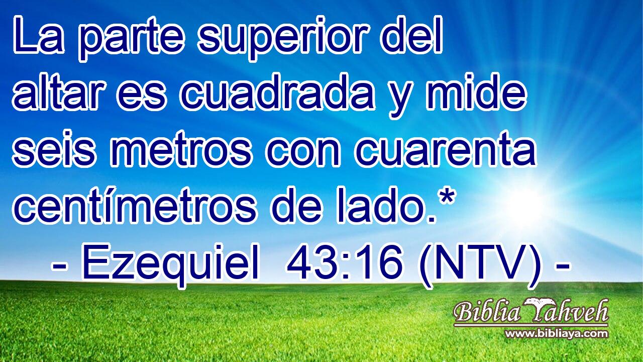 La parte superior del altar es cuadrada y mide seis metros con cuarenta centímetros de lado.*