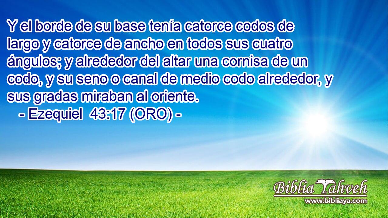  Y el borde de su base tenía catorce codos de largo y catorce de ancho en todos sus cuatro ángulos; y alrededor del altar una cornisa de un codo, y su seno o canal de medio codo alrededor, y sus gradas miraban al oriente. 