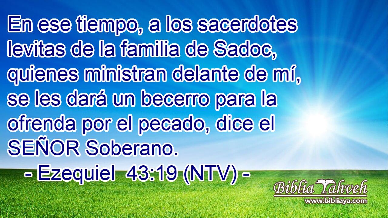 En ese tiempo, a los sacerdotes levitas de la familia de Sadoc, quienes ministran delante de mí, se les dará un becerro para la ofrenda por el pecado, dice el SEÑOR Soberano.