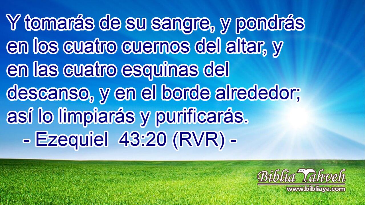 Y tomarás de su sangre, y pondrás en los cuatro cuernos del altar, y en las cuatro esquinas del descanso, y en el borde alrededor; así lo limpiarás y purificarás.