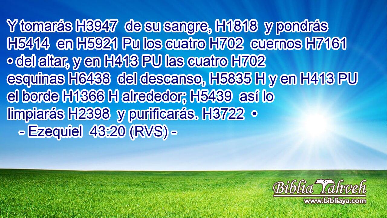Y tomarás H3947  de su sangre, H1818  y pondrás H5414  en H5921 Pu los cuatro H702  cuernos H7161  • del altar, y en H413 PU las cuatro H702  esquinas H6438  del descanso, H5835 H y en H413 PU el borde H1366 H alrededor; H5439  así lo limpiarás H2398  y purificarás. H3722  • 
