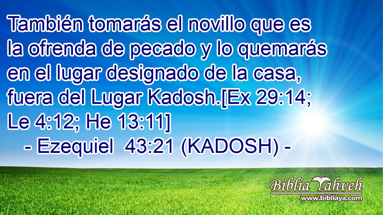  También tomarás el novillo que es la ofrenda de pecado y lo quemarás en el lugar designado de la casa, fuera del Lugar Kadosh.[Ex 29:14; Le 4:12; He 13:11] 