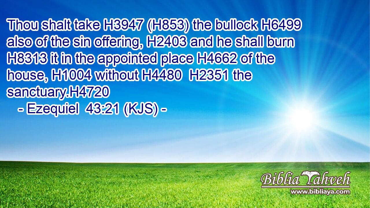 Thou shalt take H3947 (H853) the bullock H6499 also of the sin offering, H2403 and he shall burn H8313 it in the appointed place H4662 of the house, H1004 without H4480  H2351 the sanctuary.H4720