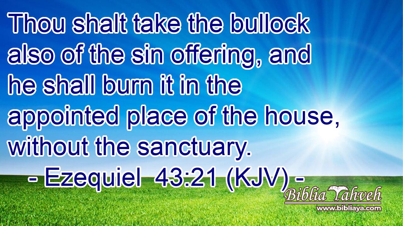 Thou shalt take the bullock also of the sin offering, and he shall burn it in the appointed place of the house, without the sanctuary.