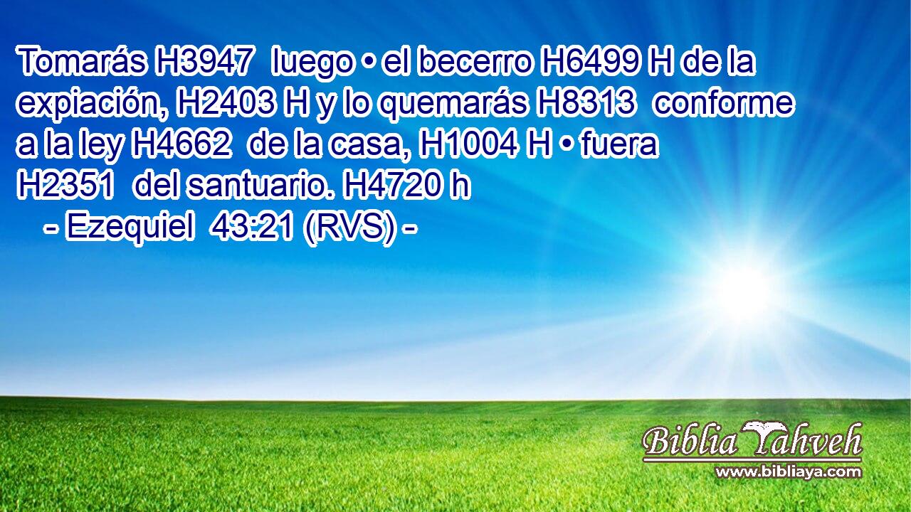 Tomarás H3947  luego • el becerro H6499 H de la expiación, H2403 H y lo quemarás H8313  conforme a la ley H4662  de la casa, H1004 H • fuera H2351  del santuario. H4720 h 