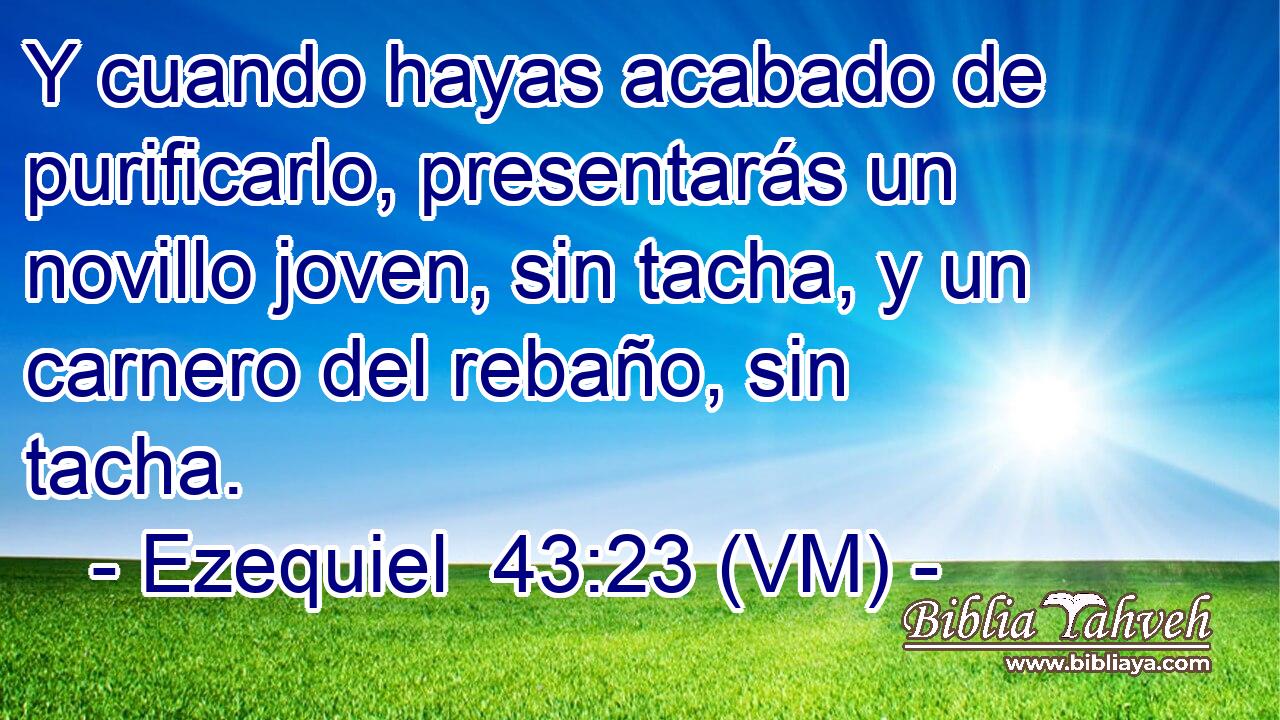  Y cuando hayas acabado de purificarlo, presentarás un novillo joven, sin tacha, y un carnero del rebaño, sin tacha. 