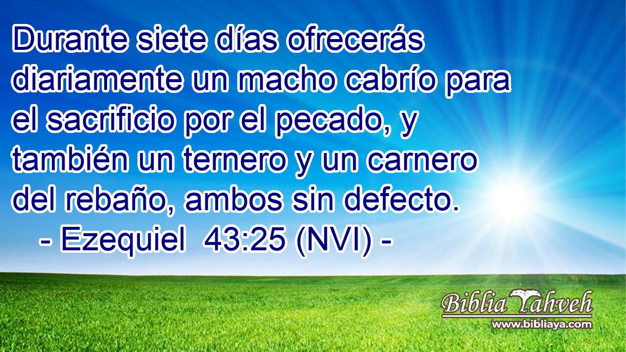  Durante siete días ofrecerás diariamente un macho cabrío para el sacrificio por el pecado, y también un ternero y un carnero del rebaño, ambos sin defecto. 