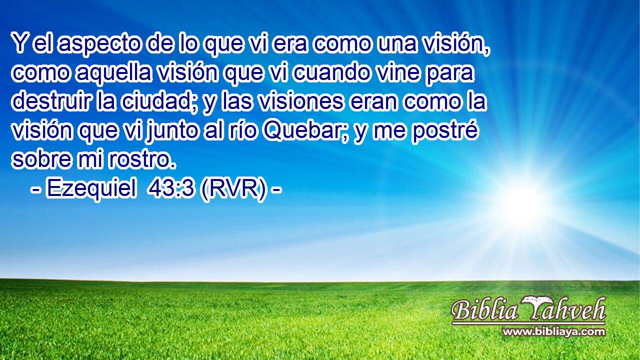 Y el aspecto de lo que vi era como una visión, como aquella visión que vi cuando vine para destruir la ciudad; y las visiones eran como la visión que vi junto al río Quebar; y me postré sobre mi rostro.
