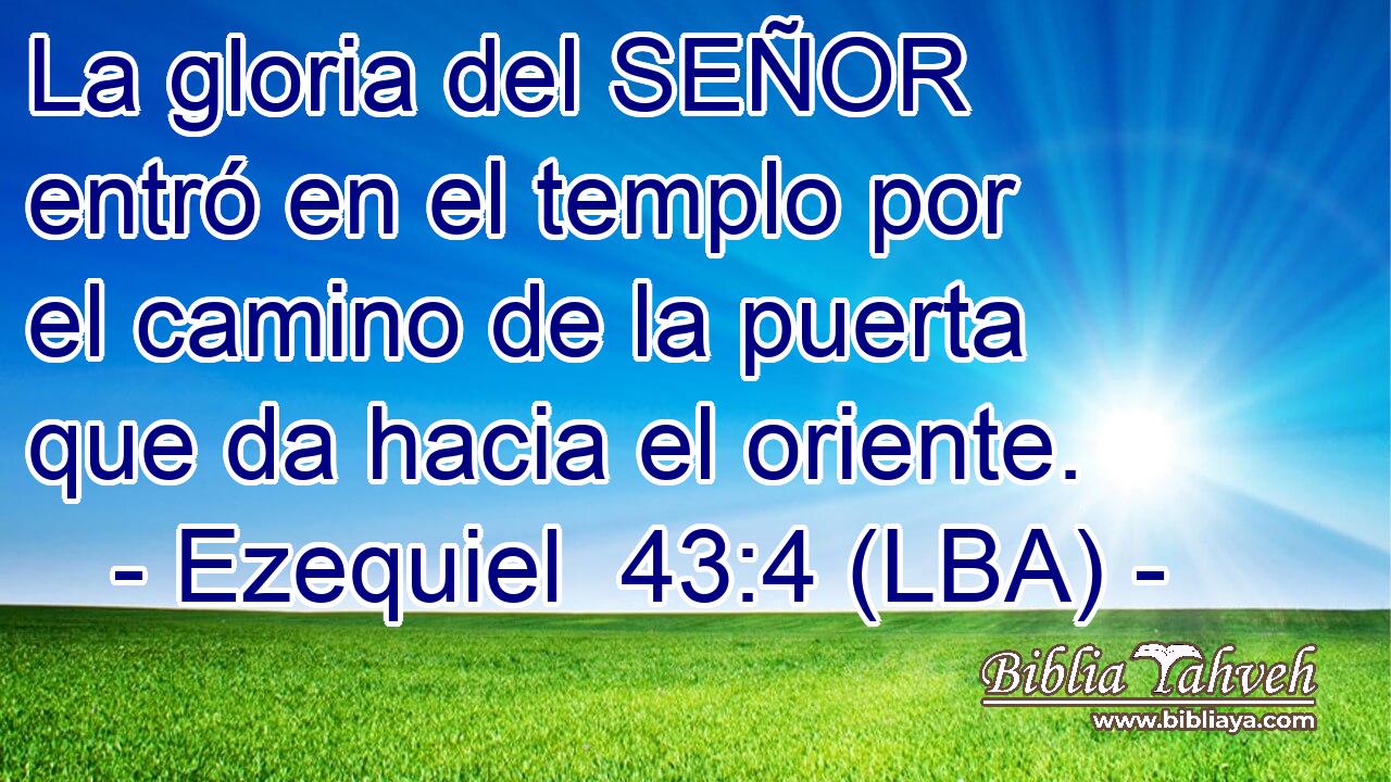 La gloria del SEÑOR entró en el templo por el camino de la puerta que da hacia el oriente.