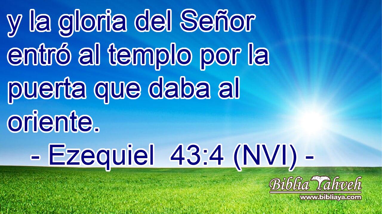  y la gloria del Señor entró al templo por la puerta que daba al oriente. 