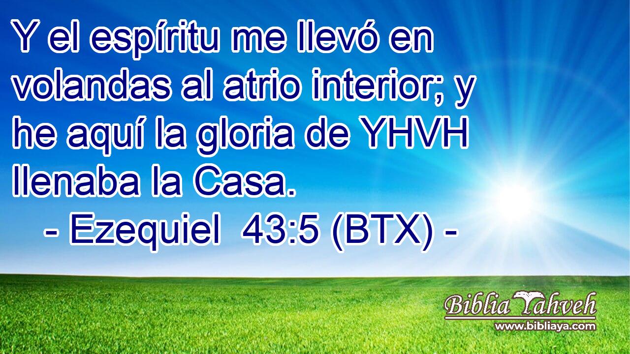 Y el espíritu me llevó en volandas al atrio interior; y he aquí la gloria de YHVH llenaba la Casa.