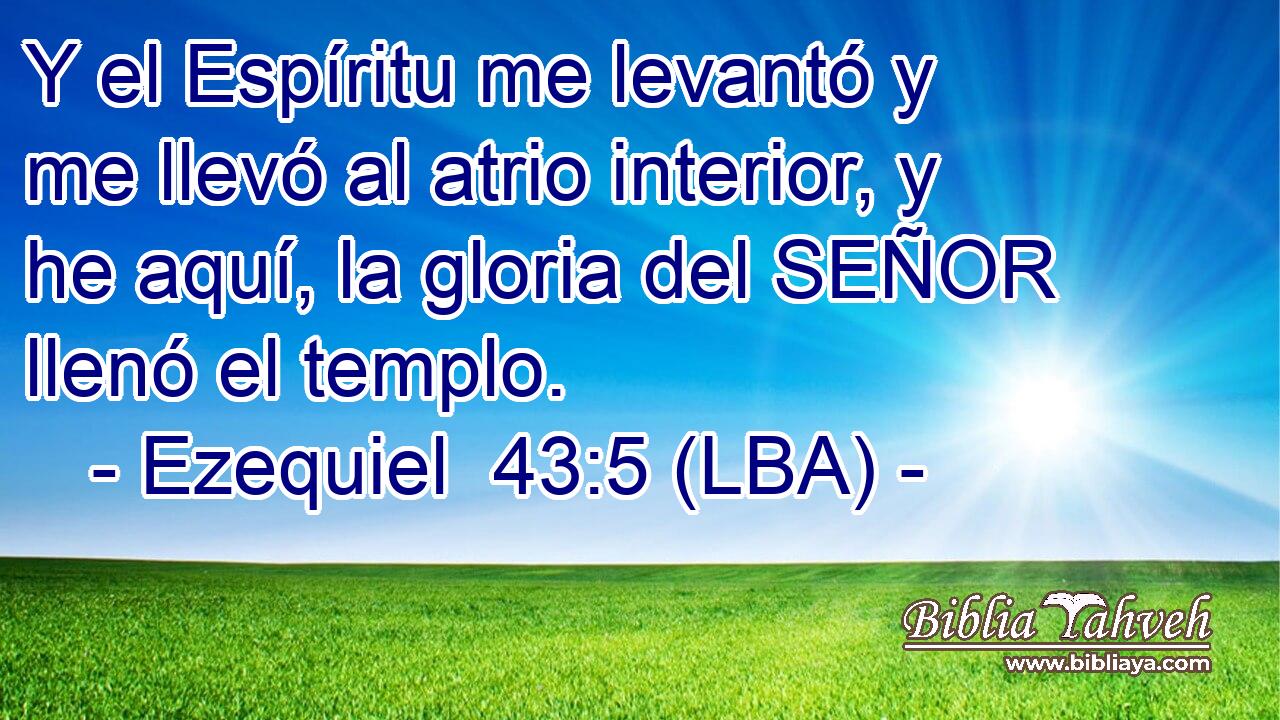 Y el Espíritu me levantó y me llevó al atrio interior, y he aquí, la gloria del SEÑOR llenó el templo.