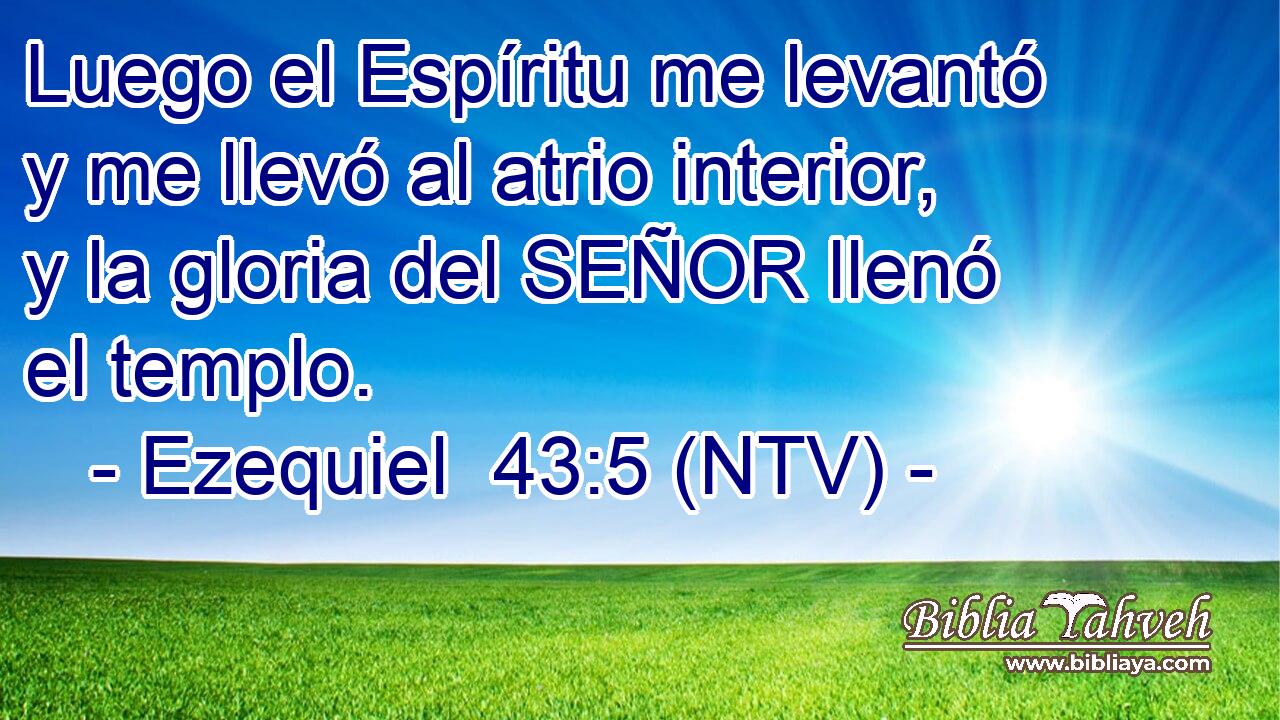 Luego el Espíritu me levantó y me llevó al atrio interior, y la gloria del SEÑOR llenó el templo.