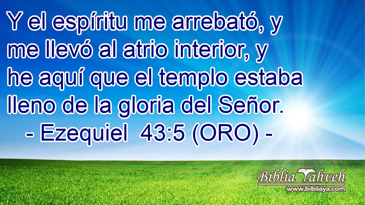  Y el espíritu me arrebató, y me llevó al atrio interior, y he aquí que el templo estaba lleno de la gloria del Señor. 