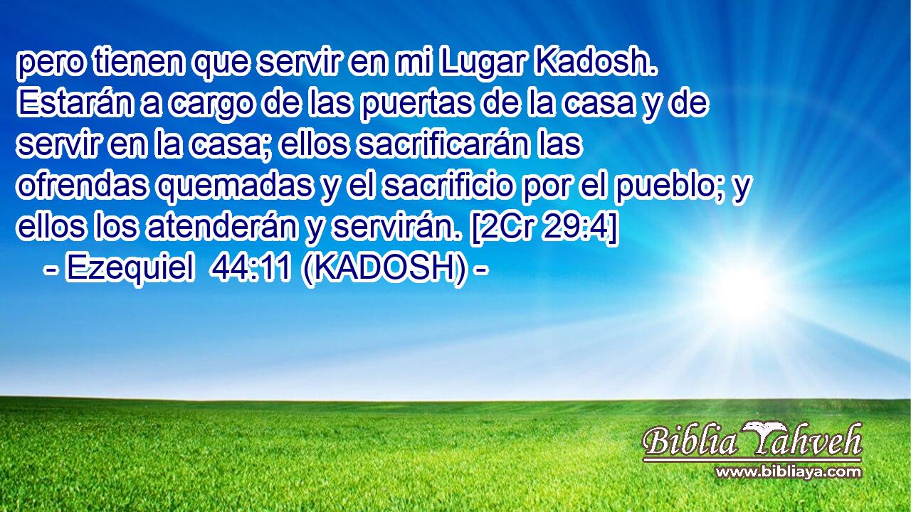  pero tienen que servir en mi Lugar Kadosh. Estarán a cargo de las puertas de la casa y de servir en la casa; ellos sacrificarán las ofrendas quemadas y el sacrificio por el pueblo; y ellos los atenderán y servirán. [2Cr 29:4] 