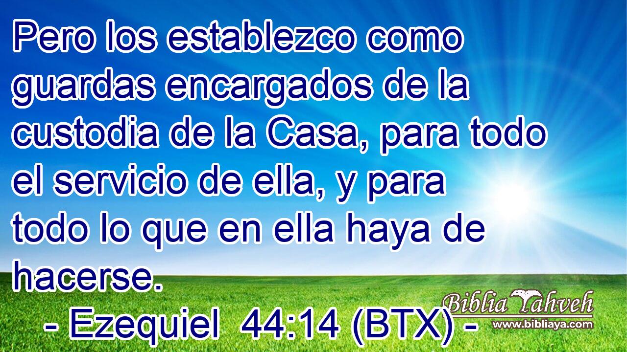 Pero los establezco como guardas encargados de la custodia de la Casa, para todo el servicio de ella, y para todo lo que en ella haya de hacerse.