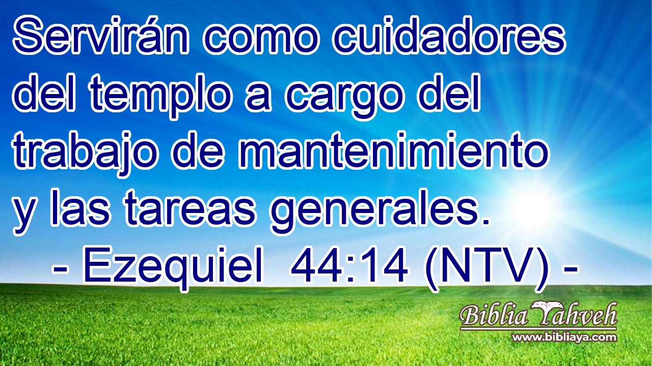Servirán como cuidadores del templo a cargo del trabajo de mantenimiento y las tareas generales.