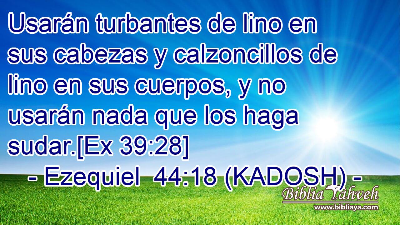  Usarán turbantes de lino en sus cabezas y calzoncillos de lino en sus cuerpos, y no usarán nada que los haga sudar.[Ex 39:28] 