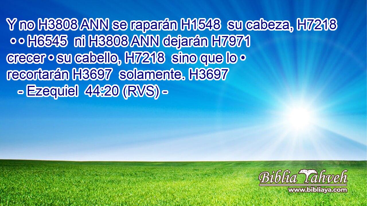 Y no H3808 ANN se raparán H1548  su cabeza, H7218  • • H6545  ni H3808 ANN dejarán H7971  crecer • su cabello, H7218  sino que lo • recortarán H3697  solamente. H3697 