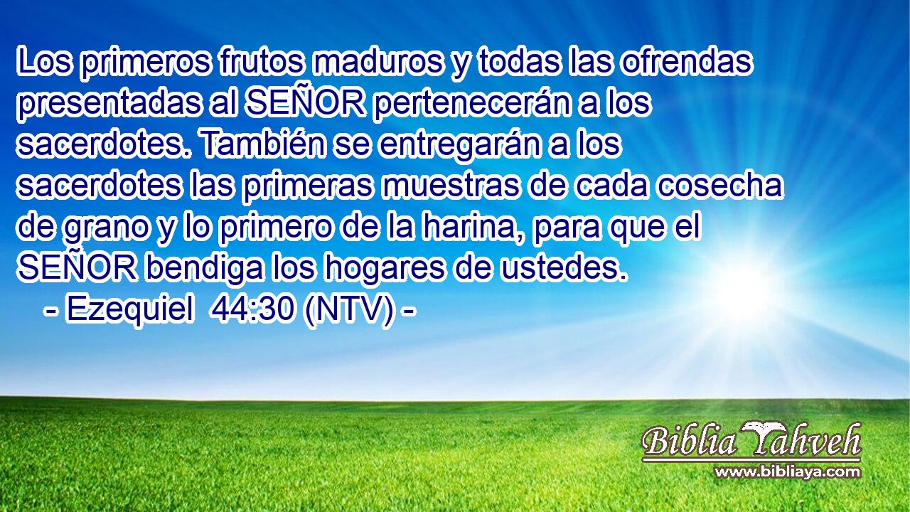 Los primeros frutos maduros y todas las ofrendas presentadas al SEÑOR pertenecerán a los sacerdotes. También se entregarán a los sacerdotes las primeras muestras de cada cosecha de grano y lo primero de la harina, para que el SEÑOR bendiga los hogares de ustedes.