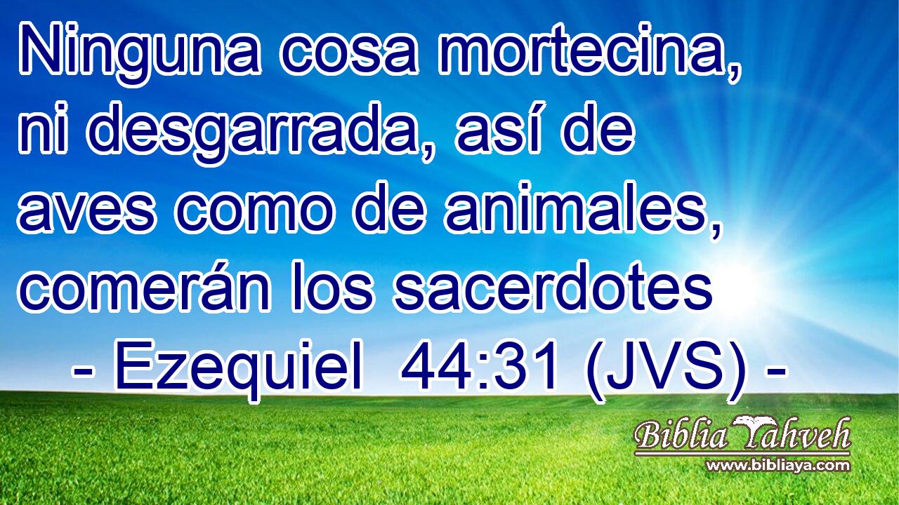 Ninguna cosa mortecina, ni desgarrada, así de aves como de animales, comerán los sacerdotes