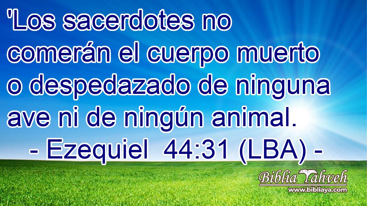 'Los sacerdotes no comerán el cuerpo muerto o despedazado de ninguna ave ni de ningún animal.