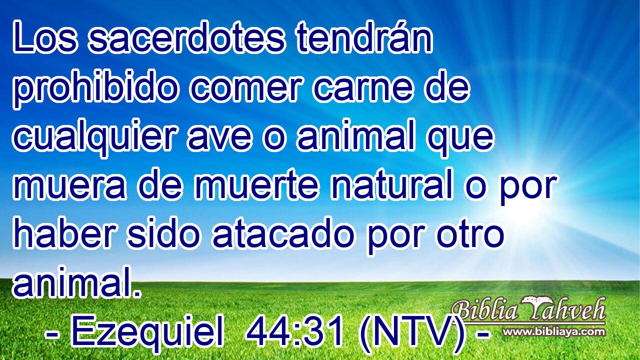 Los sacerdotes tendrán prohibido comer carne de cualquier ave o animal que muera de muerte natural o por haber sido atacado por otro animal.
