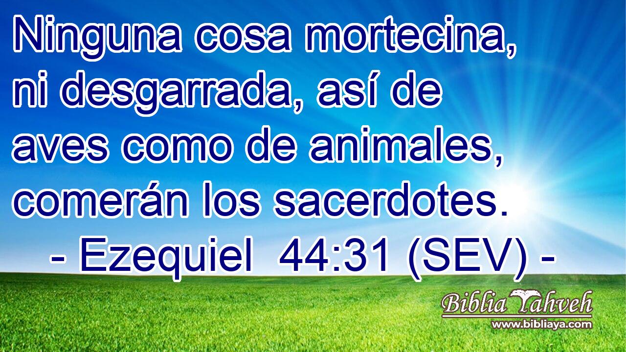 Ninguna cosa mortecina, ni desgarrada, así de aves como de animales, comerán los sacerdotes.