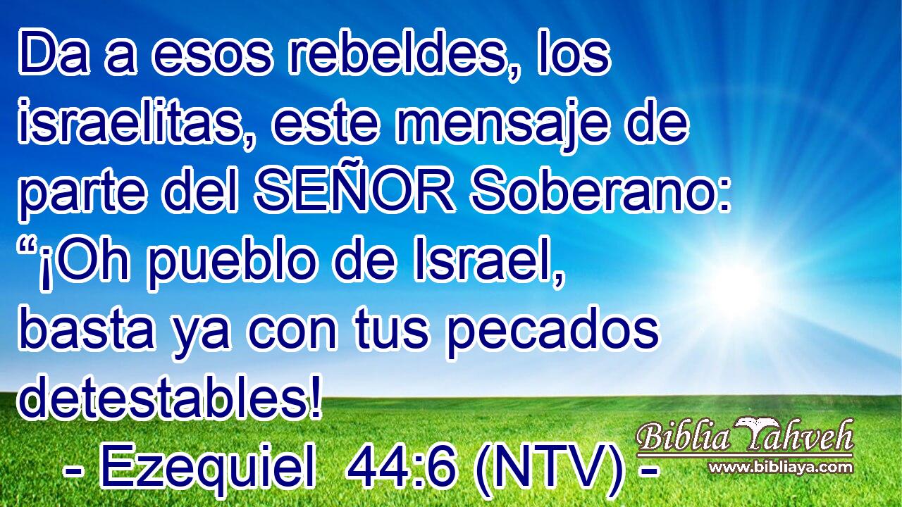 Da a esos rebeldes, los israelitas, este mensaje de parte del SEÑOR Soberano: “¡Oh pueblo de Israel, basta ya con tus pecados detestables!