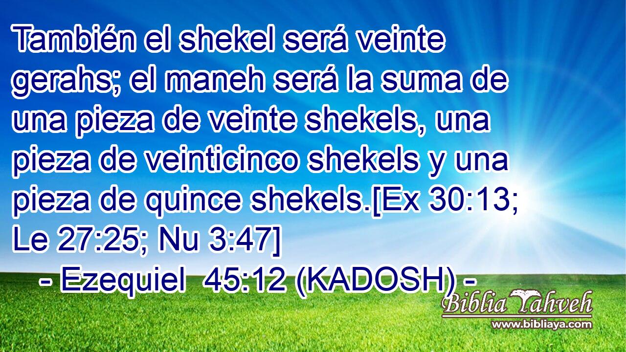  También el shekel será veinte gerahs; el maneh será la suma de una pieza de veinte shekels, una pieza de veinticinco shekels y una pieza de quince shekels.[Ex 30:13; Le 27:25; Nu 3:47] 