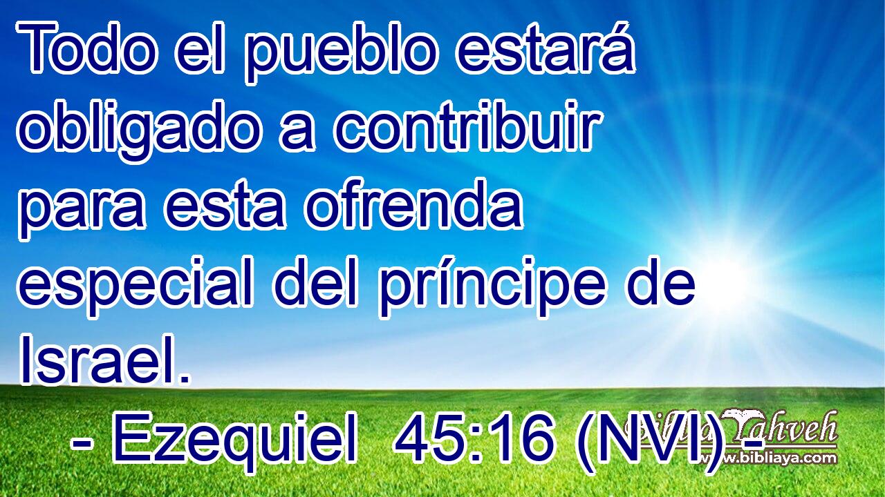  Todo el pueblo estará obligado a contribuir para esta ofrenda especial del príncipe de Israel. 