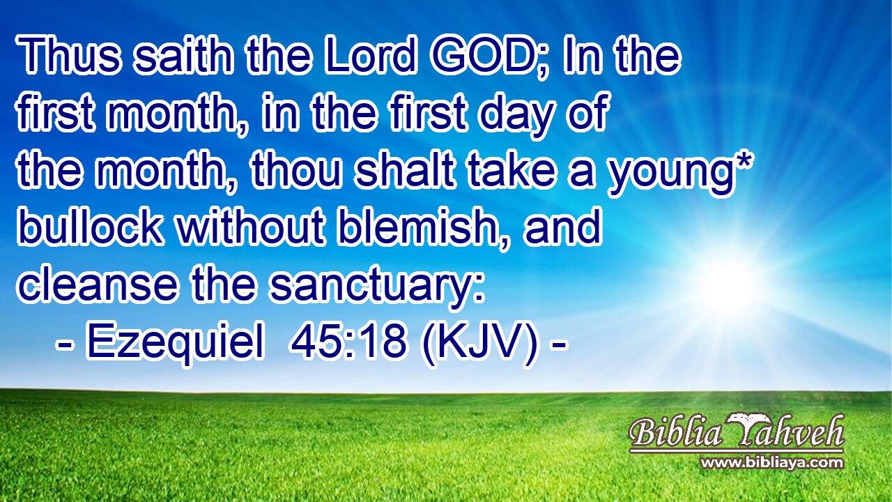 Thus saith the Lord GOD; In the first month, in the first day of the month, thou shalt take a young* bullock without blemish, and cleanse the sanctuary: