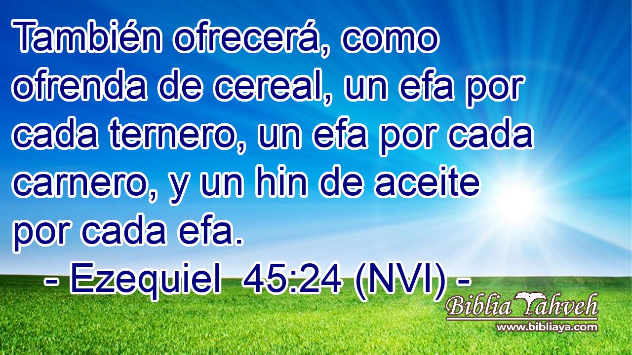  También ofrecerá, como ofrenda de cereal, un efa por cada ternero, un efa por cada carnero, y un hin de aceite por cada efa. 