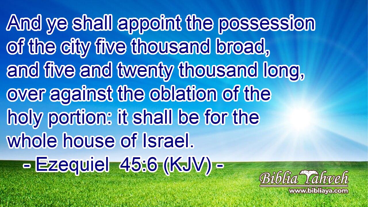And ye shall appoint the possession of the city five thousand broad, and five and twenty thousand long, over against the oblation of the holy portion: it shall be for the whole house of Israel.