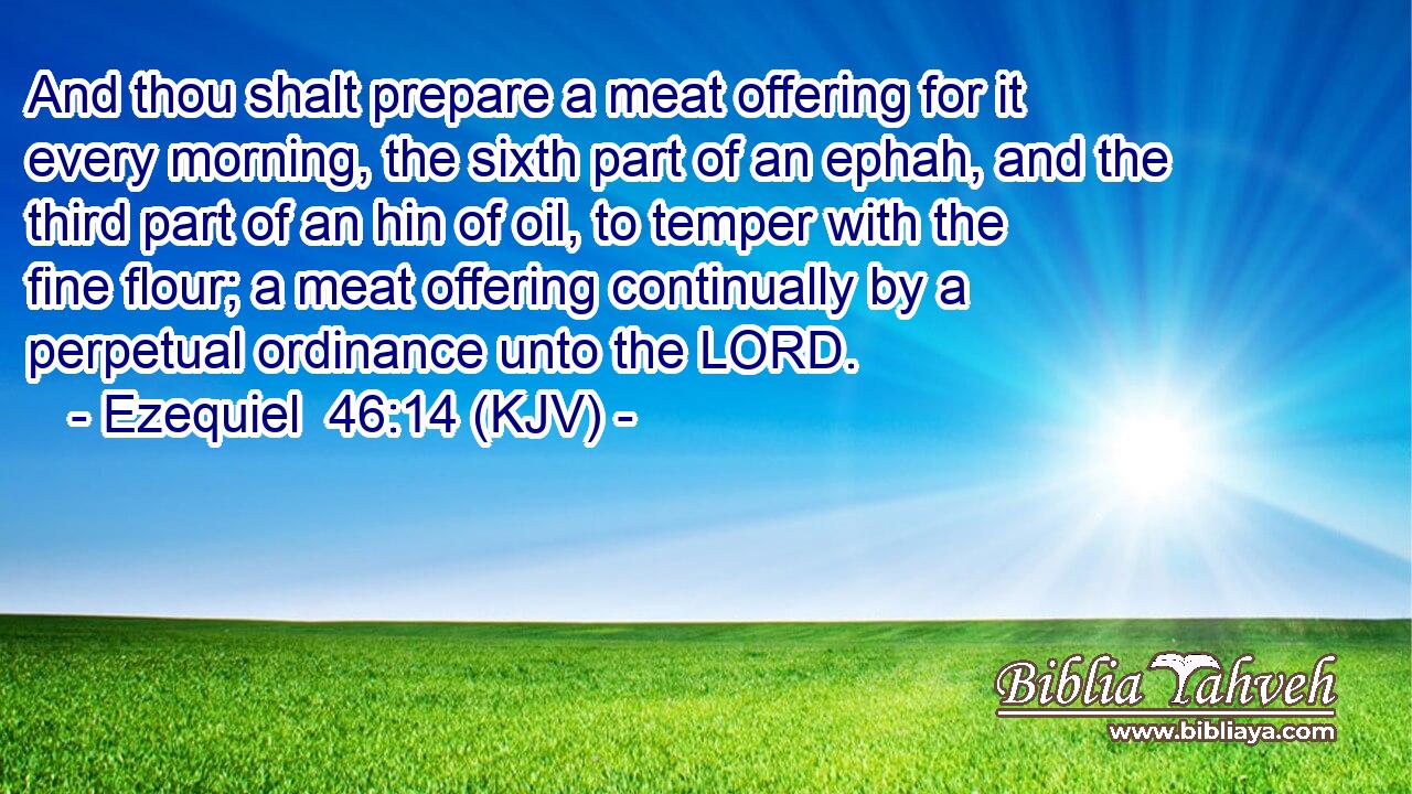 And thou shalt prepare a meat offering for it every morning, the sixth part of an ephah, and the third part of an hin of oil, to temper with the fine flour; a meat offering continually by a perpetual ordinance unto the LORD.