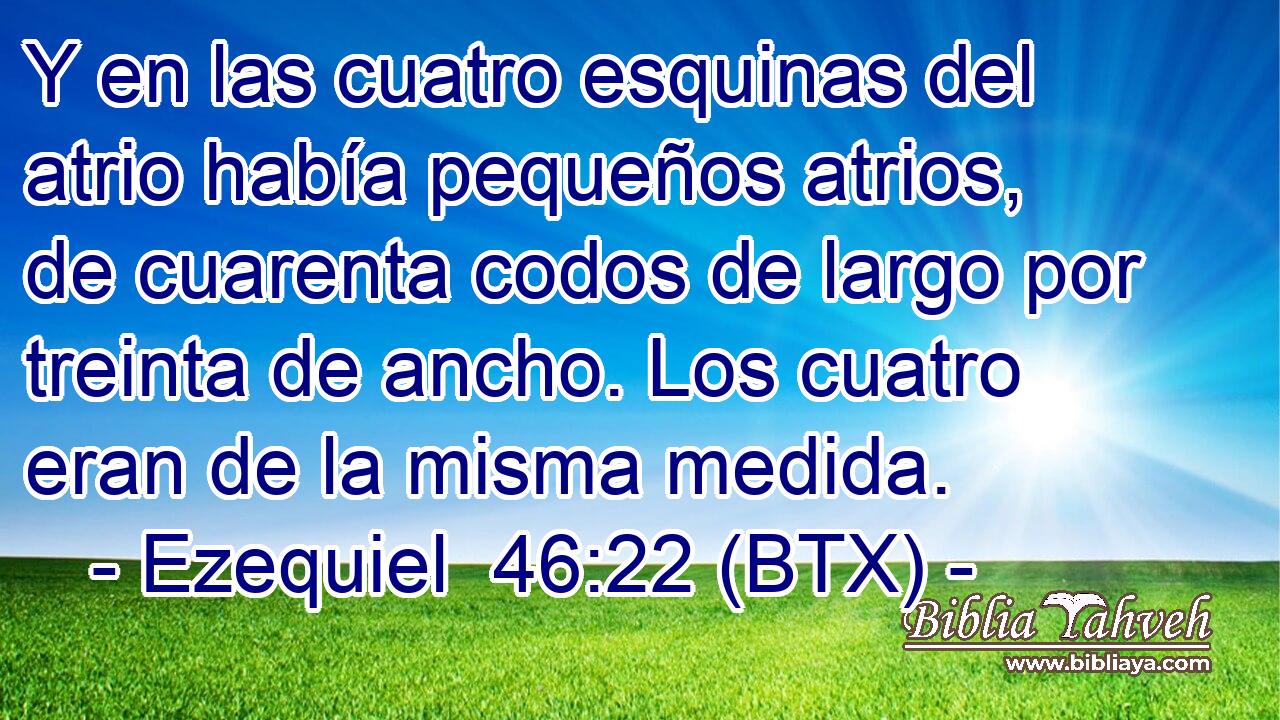 Y en las cuatro esquinas del atrio había pequeños atrios, de cuarenta codos de largo por treinta de ancho. Los cuatro eran de la misma medida.