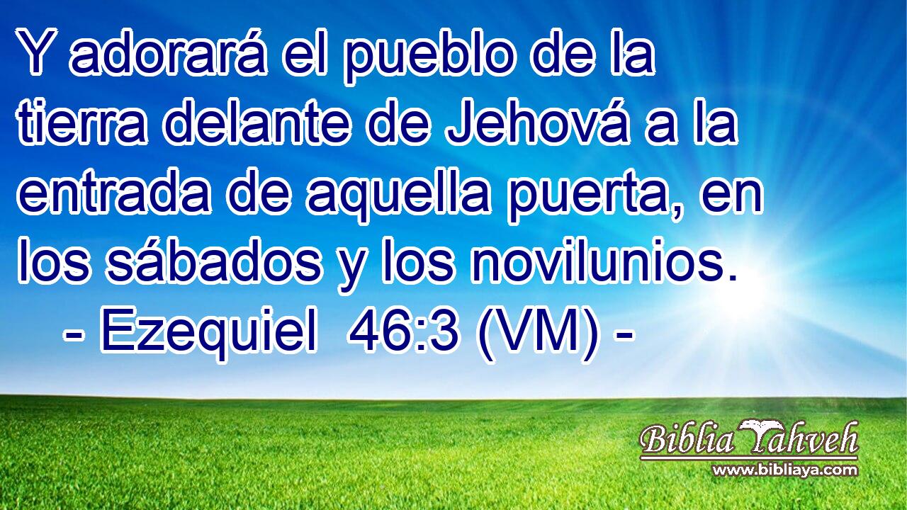  Y adorará el pueblo de la tierra delante de Jehová a la entrada de aquella puerta, en los sábados y los novilunios. 